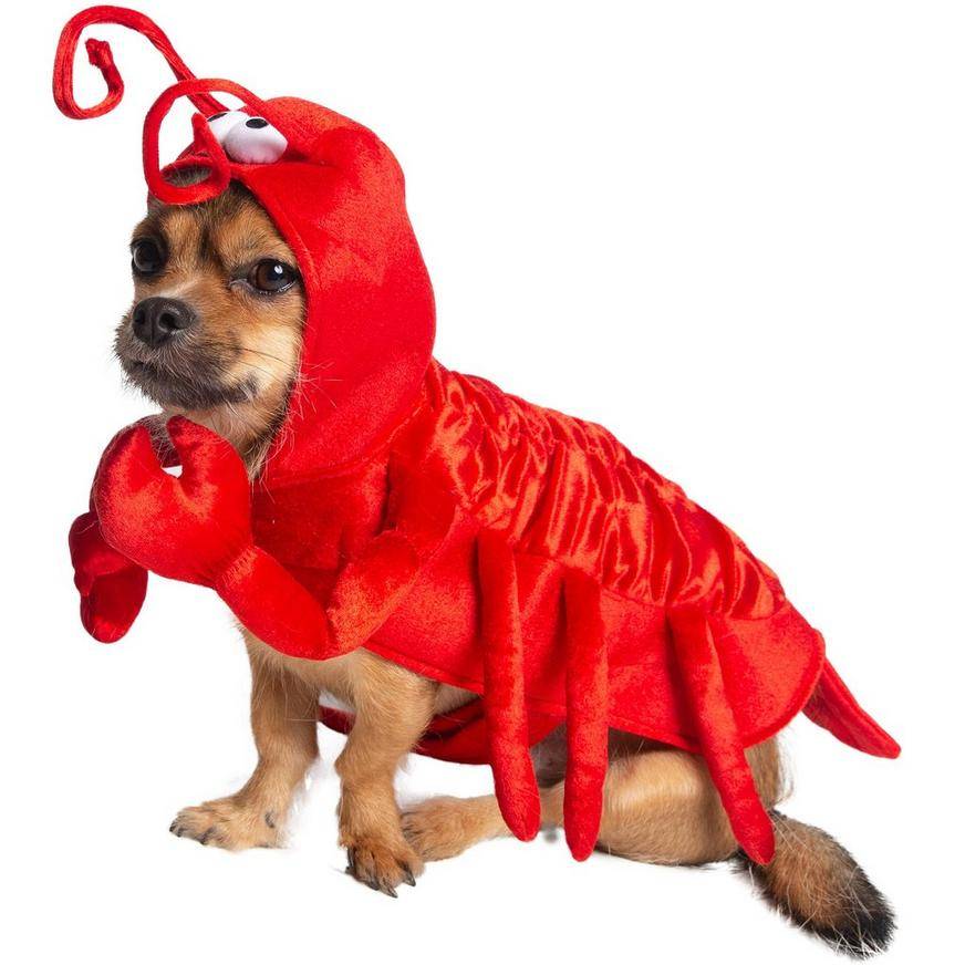 Lobster Dog Costume - Size - XL