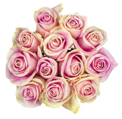 Dozen Pink Rose Bunch - Each