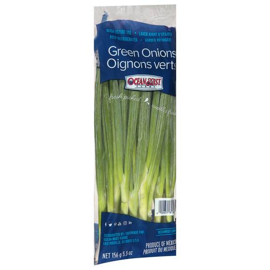 Ocean Mist Farms Green Onions (5.5 oz)