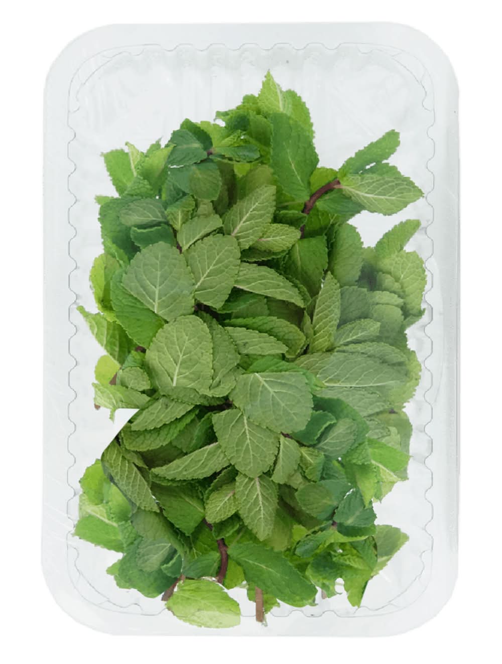 Menta (30 g)