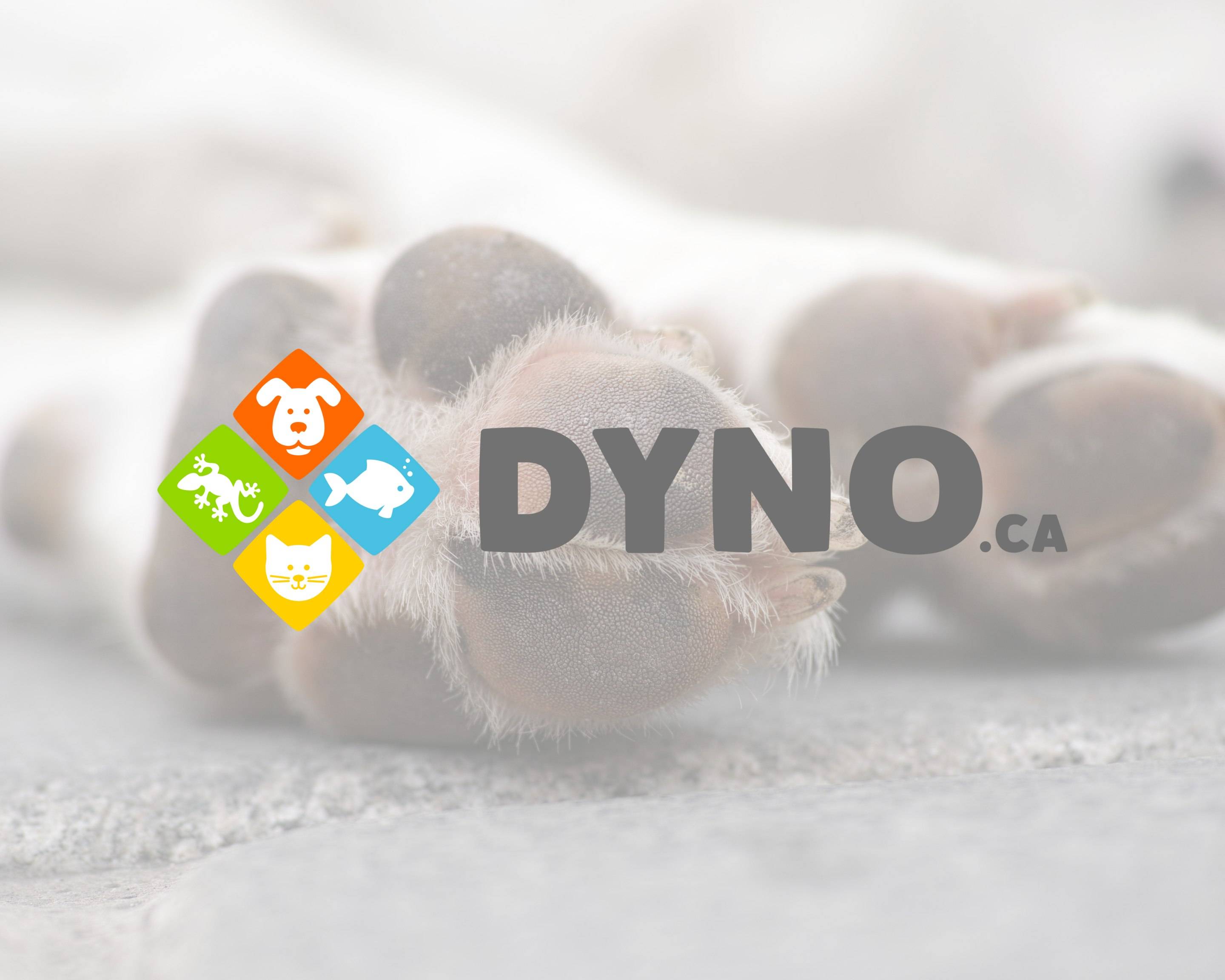 Menu chez Animalerie Dyno (Neufchâtel) et livraison à Ville de Québec