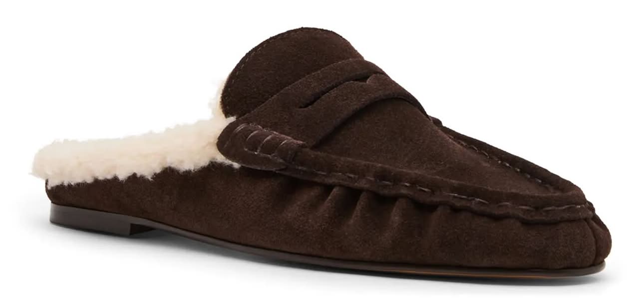 Steve Madden Rafe Mule (Chocolate Brown Suede Medium - 7)