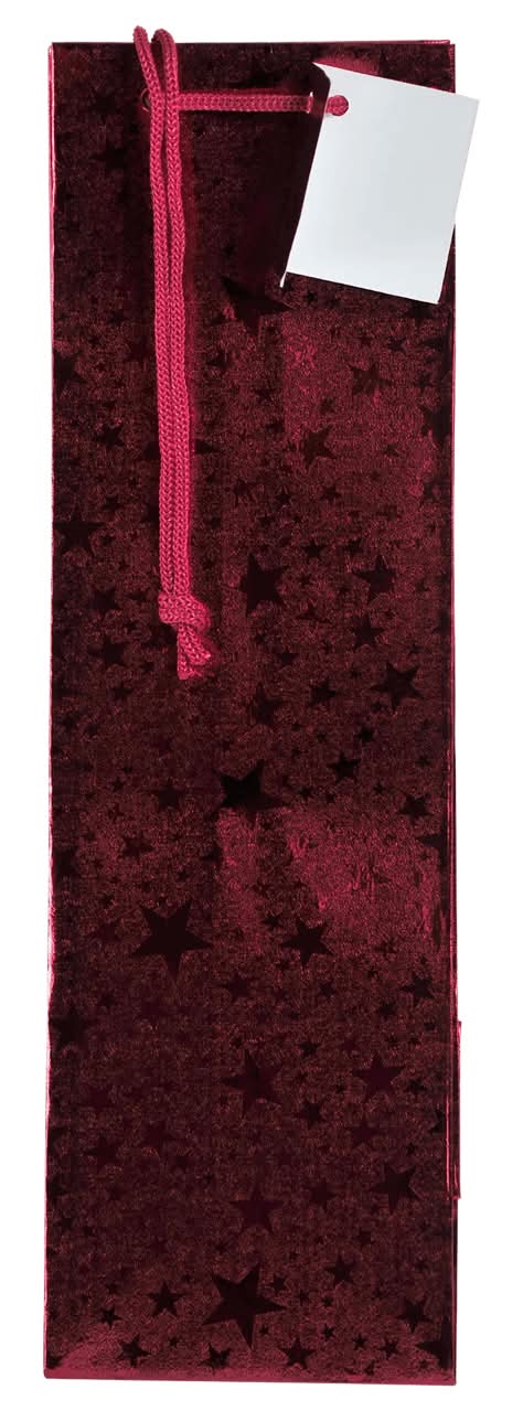 Xmas Foil Bottle Gift Bag
