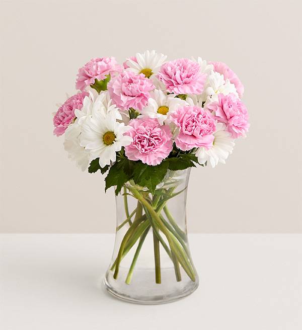 Daisy Delight - Small