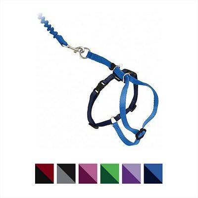 Petsafe Come With Me Kitty Harness and Bungee Cat Leash (large/multicolour )