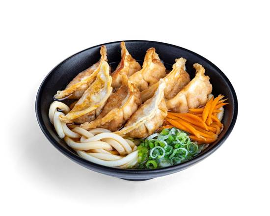 (p-15) Chicken Gyoza Udon