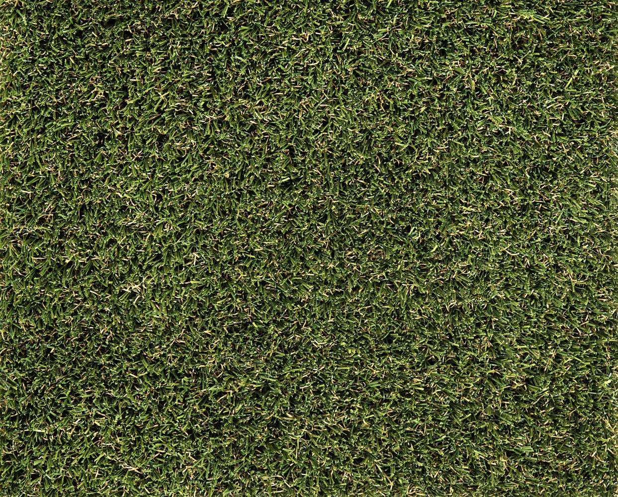 SYNLawn SYNPaws and Play Roll-bar 12-ft Cut To Length Artificial Grass | RBPPA-8215-UJ-1200