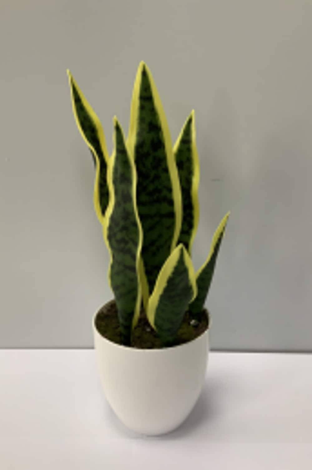 Nearly Natural 13.5-in Green Indoor Mixed Greenery Artificial Plant | P1951-LW