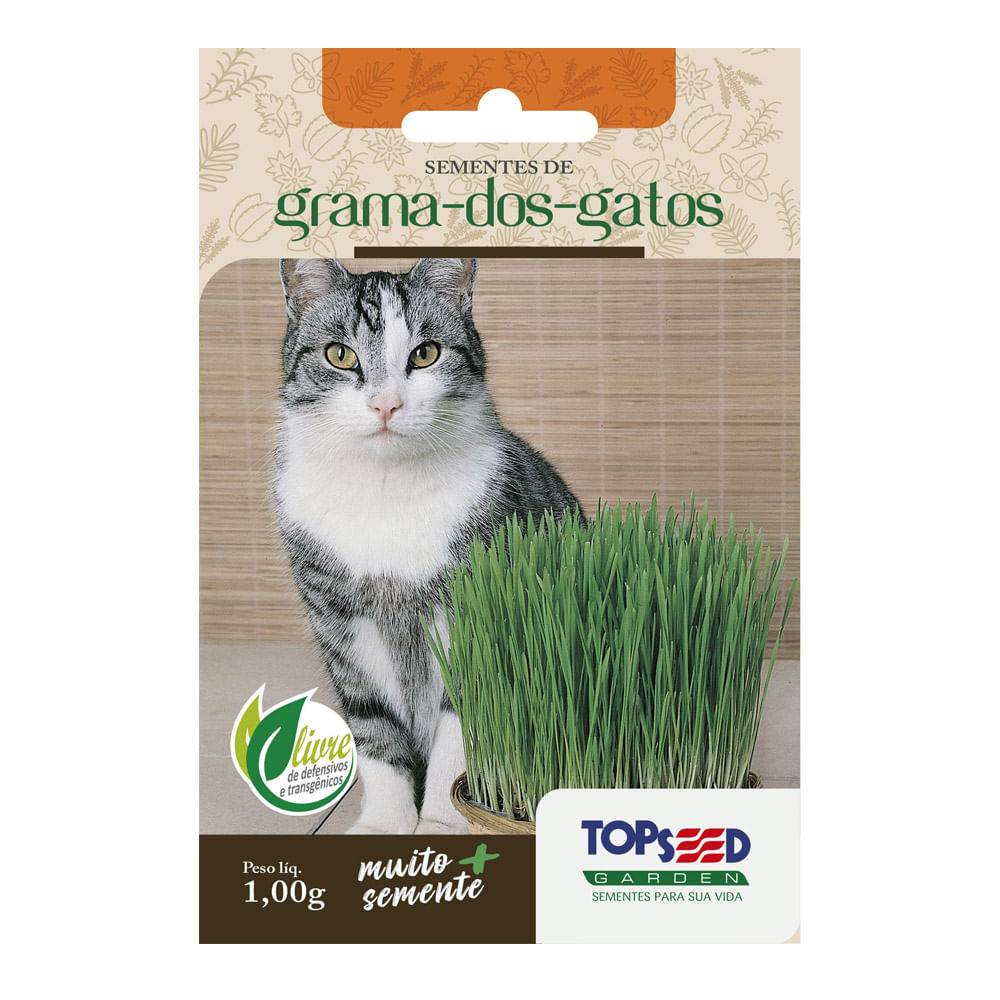 Topseed sementes de grama-dos-gatos (1,00g)
