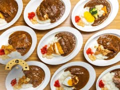 Nippon Curry- Berkeley
