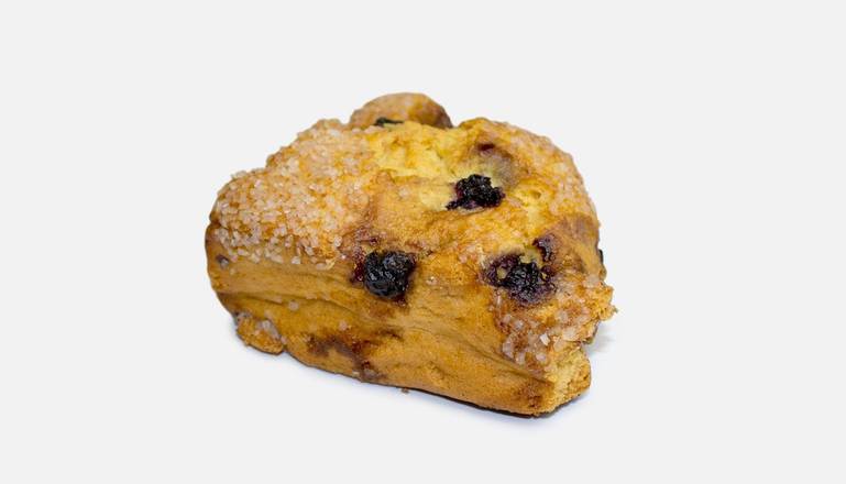 Muffins & Scones|Blueberry Scone