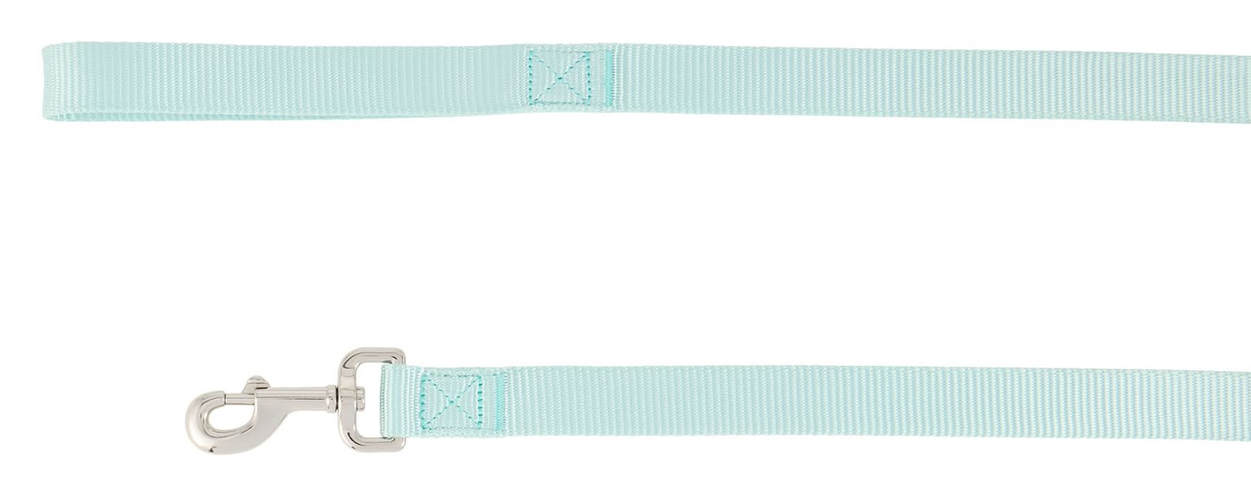 Top Paw® Standard Dog Leash, Walking Dog Leash, Multiple Sizes, 6' Long (Color: Green, Size: 1 In)