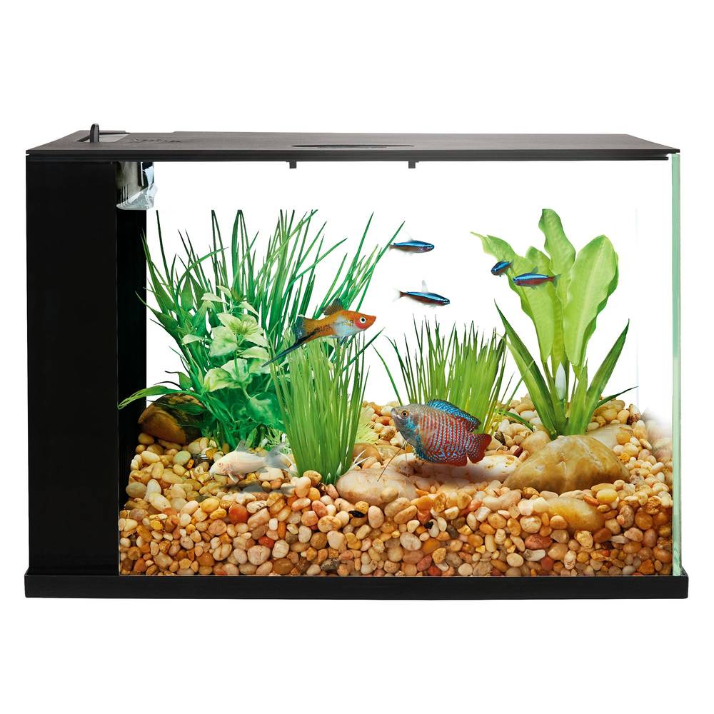 Top Fin® Easy Clean Aquarium - 3 Gallon (Color: Black, Size: 3 Gal)