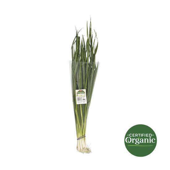 Coles Organic Spring Onions 1 each