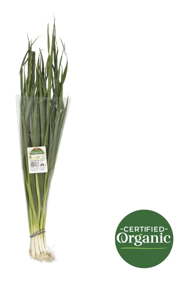 Coles Organic Spring Onions 1 each