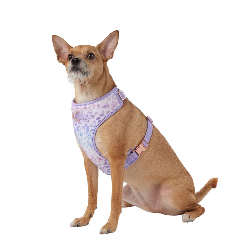 Top Paw Purple Cheetah Dog Harness (medium/purple)