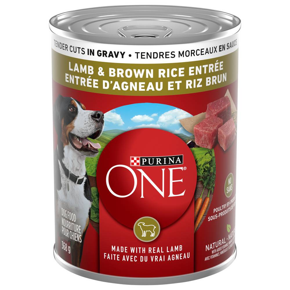 Purina One Lamb & Brown Rice Wet Dog Food (368 g)