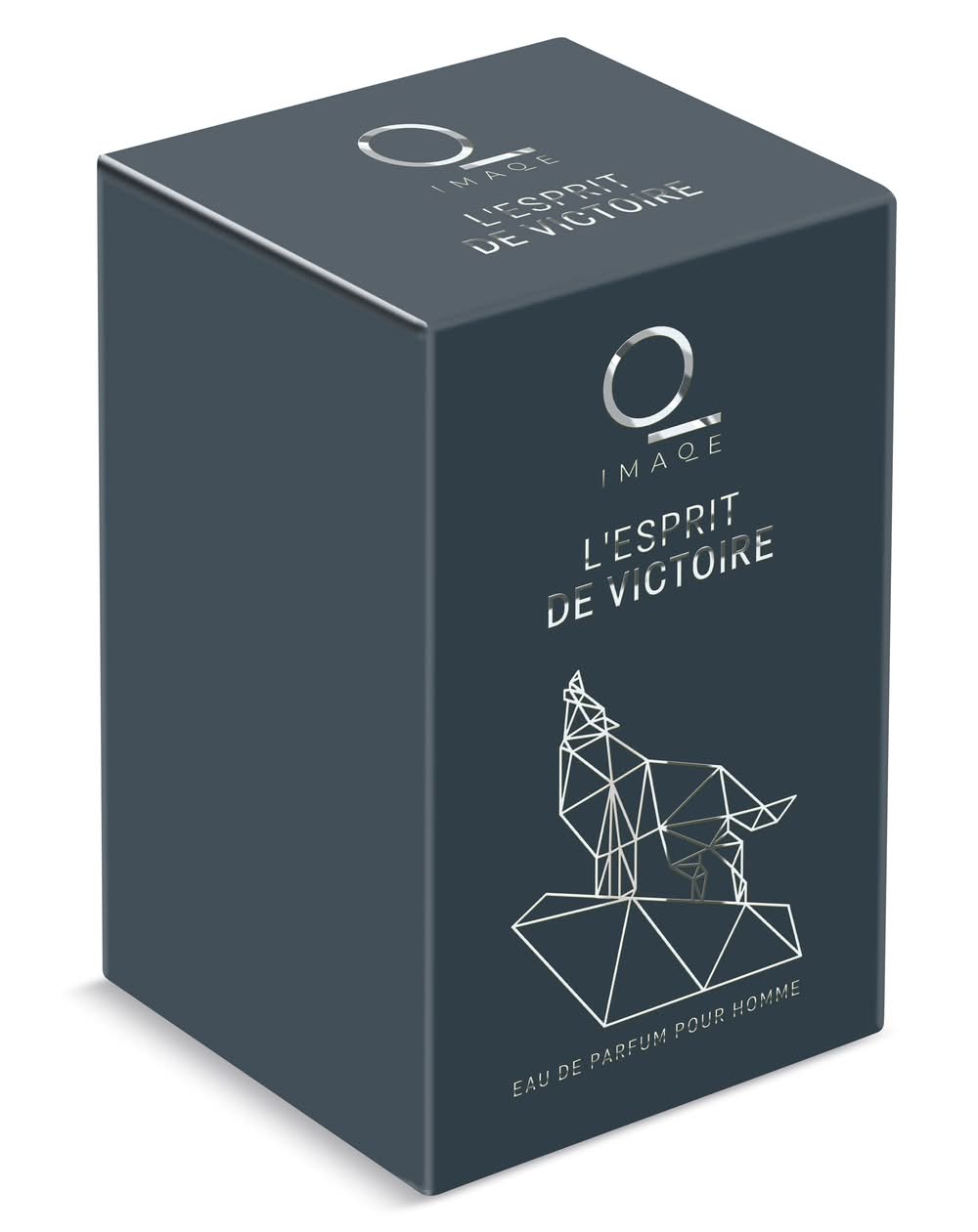 Perfume Para Hombre L'Esprit De Victoire Imaqe De Dia Frasco 100 Ml