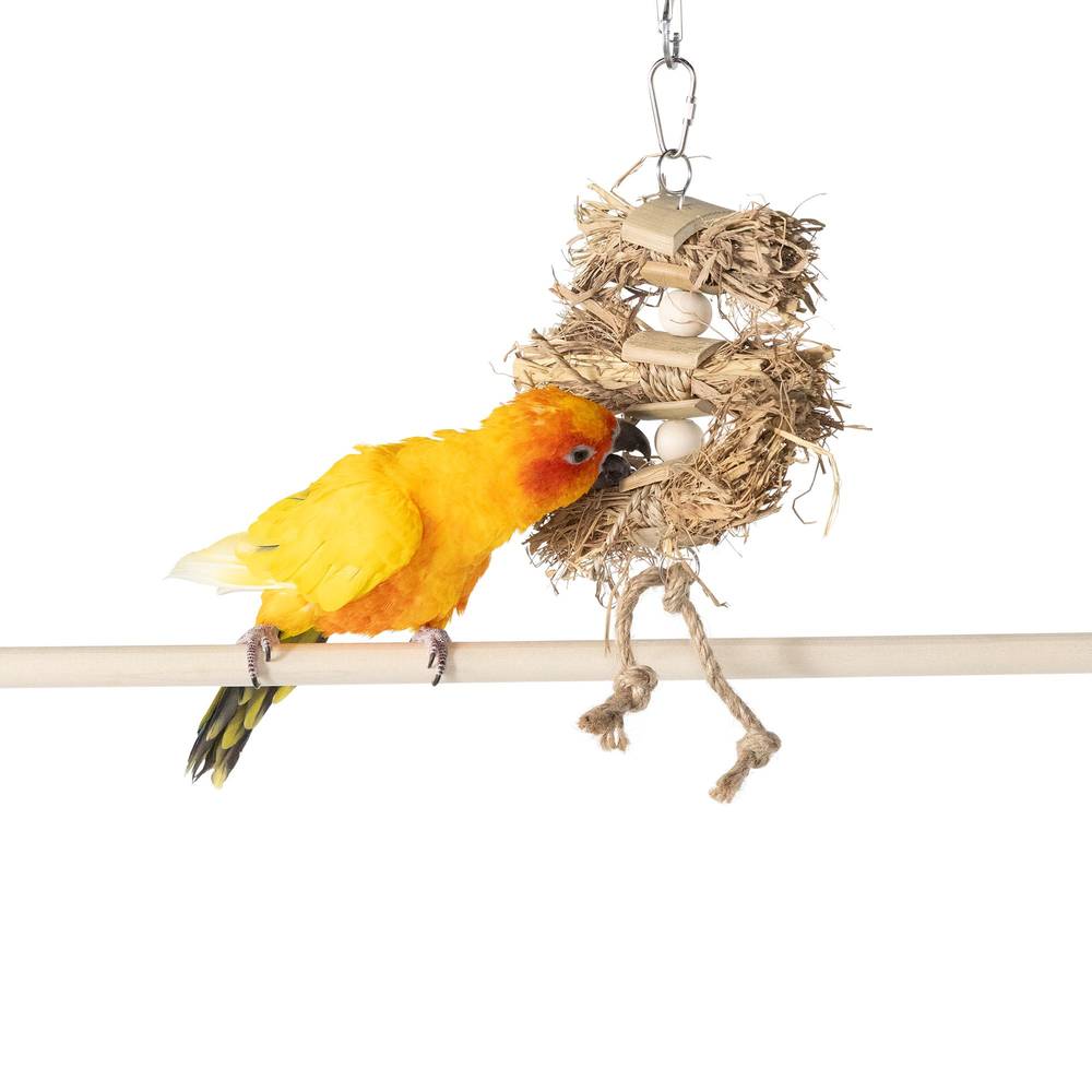 All Living Things Natural Straw Harvest Bird Toy