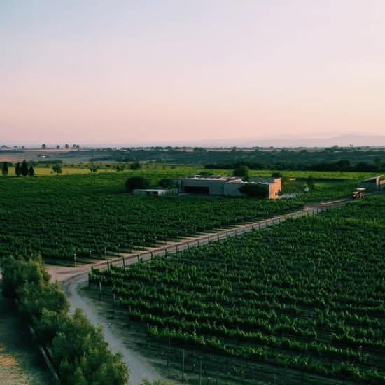 Restaurante Cuna de Tierra