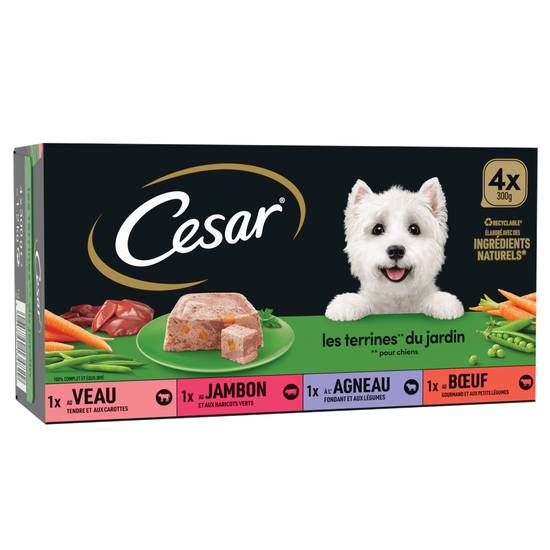 Cesar - Barquettes en terrine 4 variétés pour chien