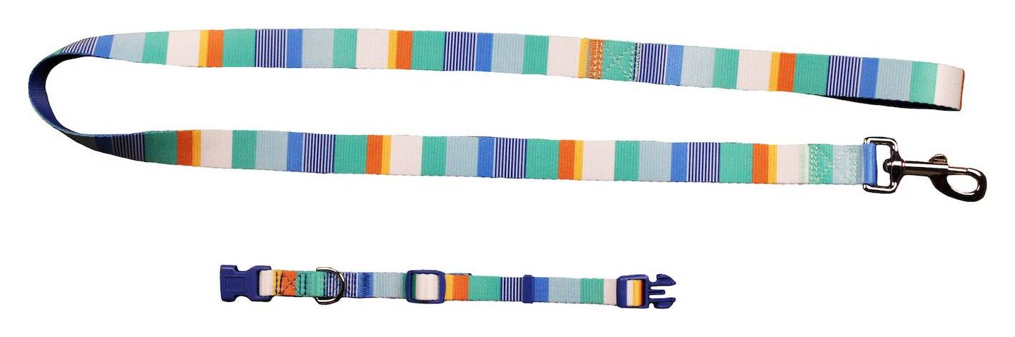 Celebrations Summer Dog Collar & Leash Set, Assorted Sizes