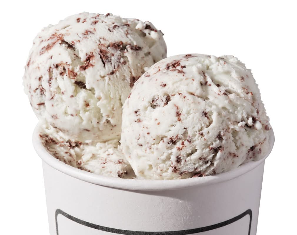 Freckled Mint Chocolate Chip (v)