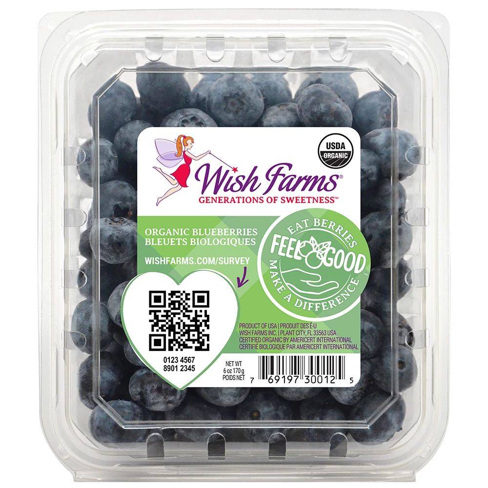 Wish Farms Blueberries (6 oz)