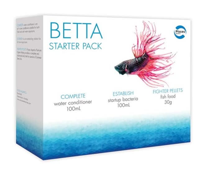 conventional fishing reel saltwater 7 Best Saltwater Fishing Reels