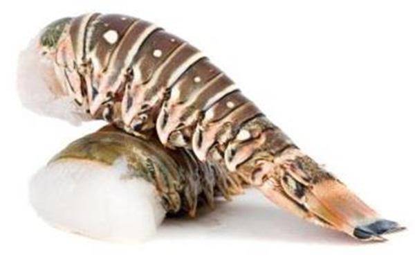 Spiny Lobster Tail