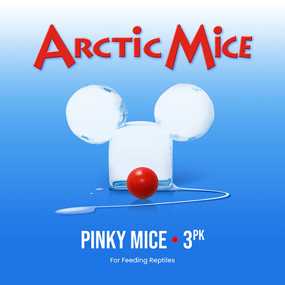 Arctic Mice Frozen Pinky Mice - Snake Food - 1-20 ct