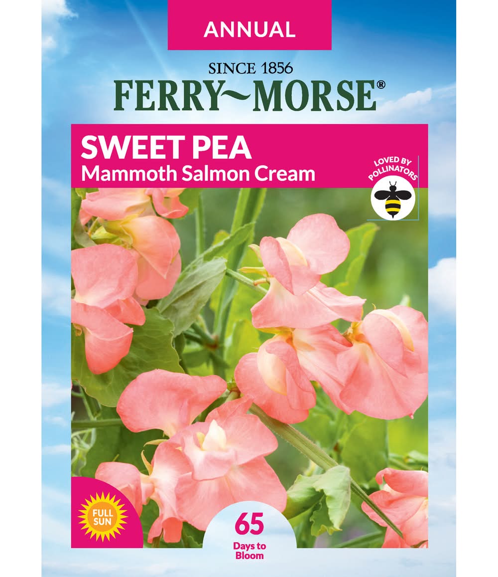Ferry-Morse A SWEET PEA MAMMOTH SALMON CREAM