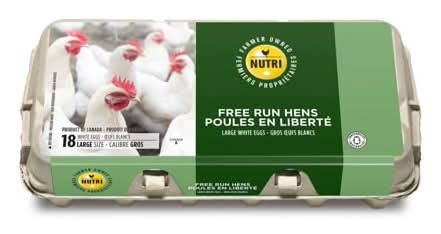Nutri Group Free Run White Eggs, Large (18 ct)