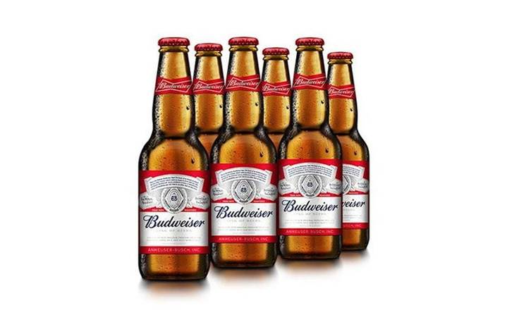 Bottle Budweiser 6 Pack