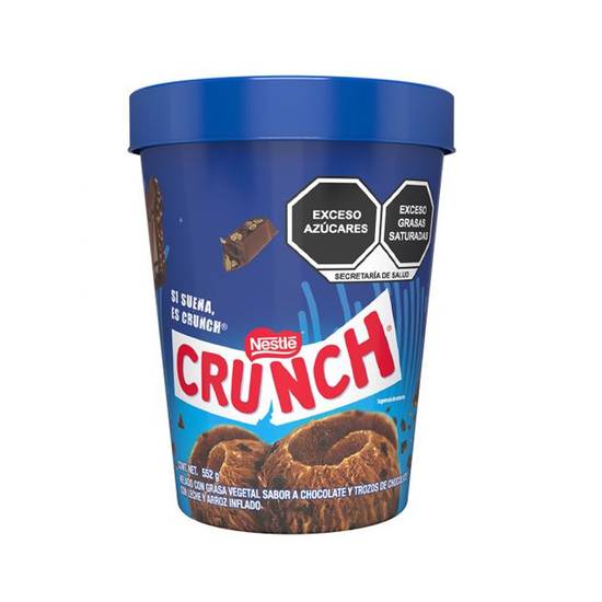 Helados nestlé helado sabor chocolate crunch (bote 552 g)