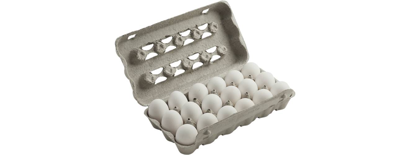 Enavis ovos brancos grandes (18 unidades)