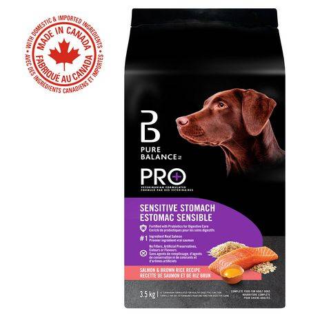 special kitty wet cat food Salty Cat Mince with Salmon in Gravy Wet Cat Food 13 oz  Pet Krewe