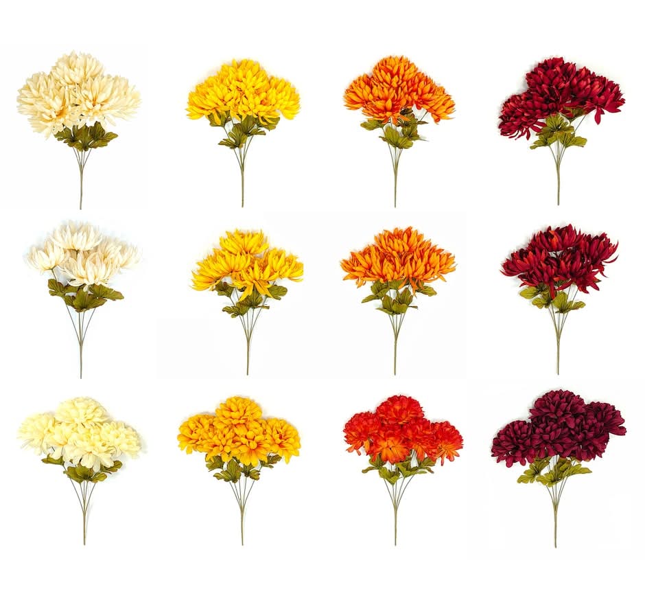 Floral Garden Mum Bush, Assorted