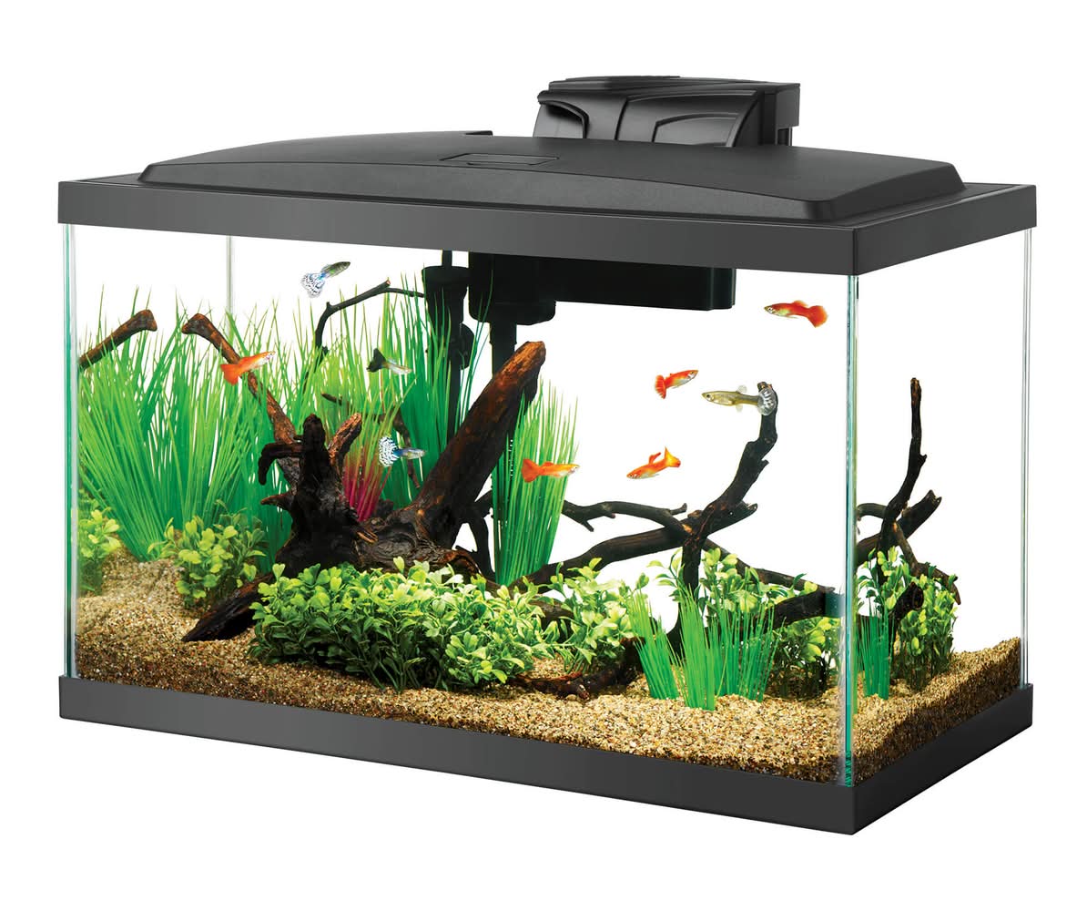 Aqueon Aquarium Starter Kit With Led Lighting