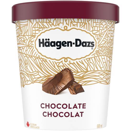 Häagen-Dazs Chocolate 500 ml