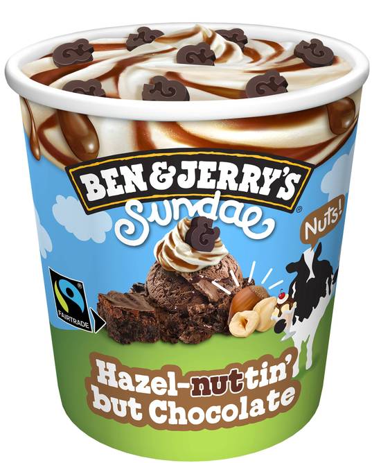 Ben & Jerry's Hazel-nuttin' but Chocolate Sundae 427ml
