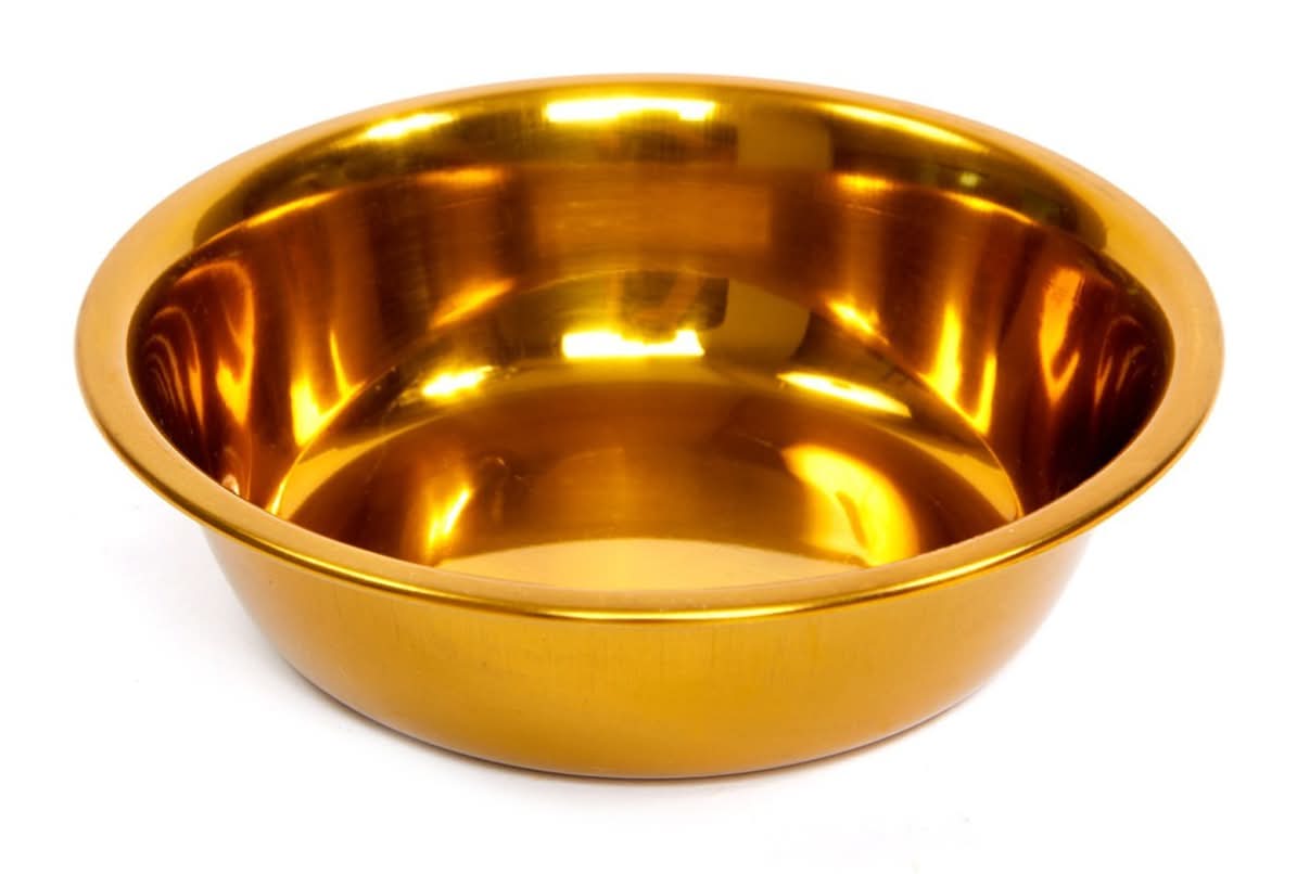 EveryYay · Tazón de acero inoxidable para perro, dorado