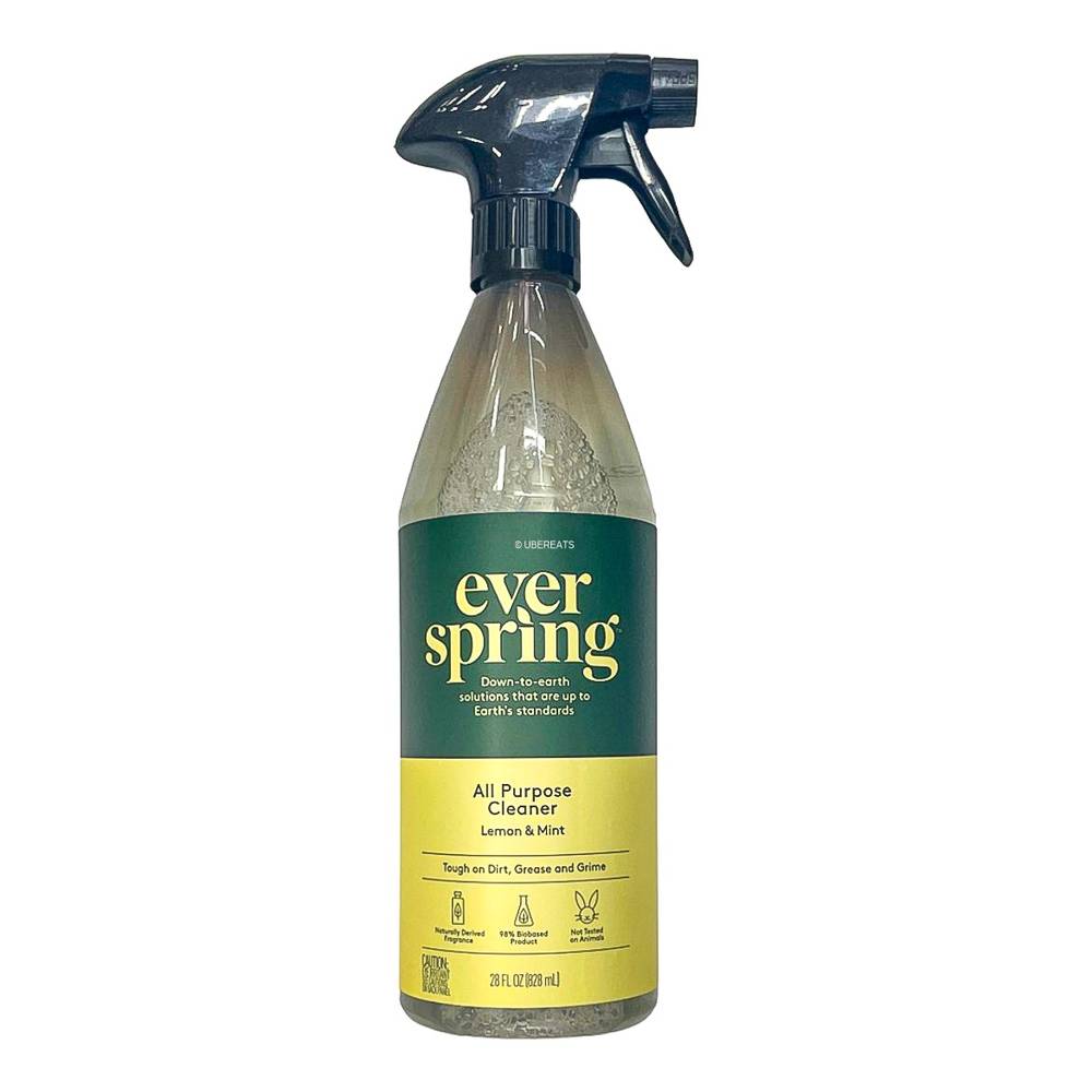 Everspring All Purpose Cleaner