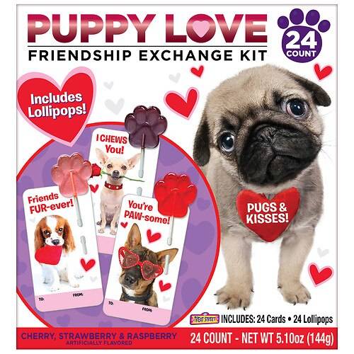 Order Treat Street Valentine Puppy Love Friendship Exchange Kit - 24.0 ea food online from Walgreens store, Maywood on bringmethat.com