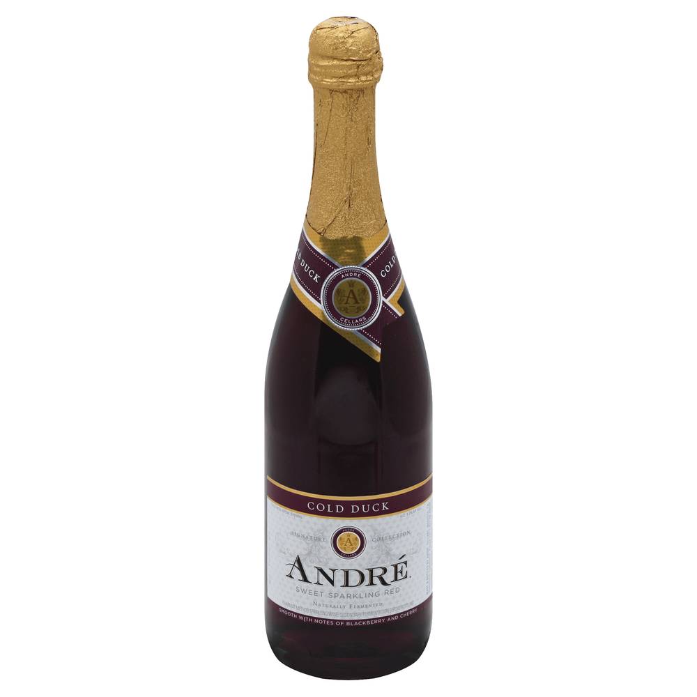 Andre Cold Duck Sweet Sparkling Red Wine (750 ml)