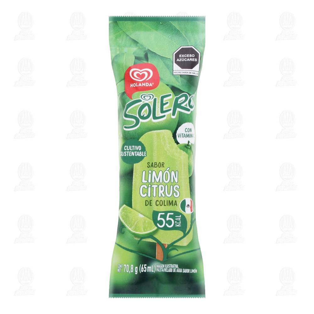 Holanda · Paleta helada solero citrus limón (70 g)