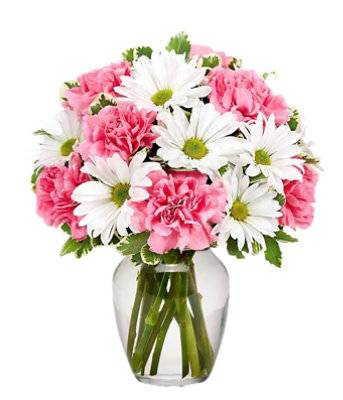 Designers Choice Mixed Arrangement - Each (Colors May Vary)