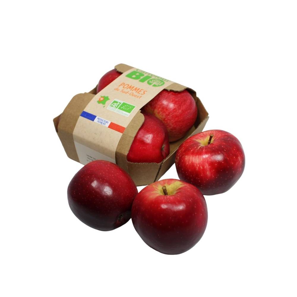 Carrefour Bio - Pommes bicolores (4 pièces)