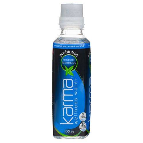 Karma eau bien-être probiotiques limonade au mûres (532ml) - wellness water probiotics blueberry lemonade (532 ml)