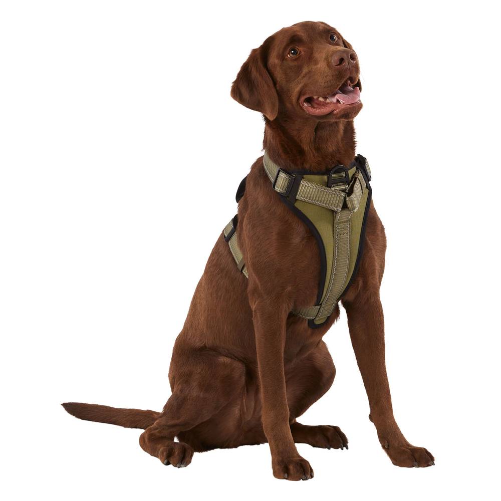 KONG® MAX Neoprene Padded Dog Harness (Color: Green, Size: Medium)